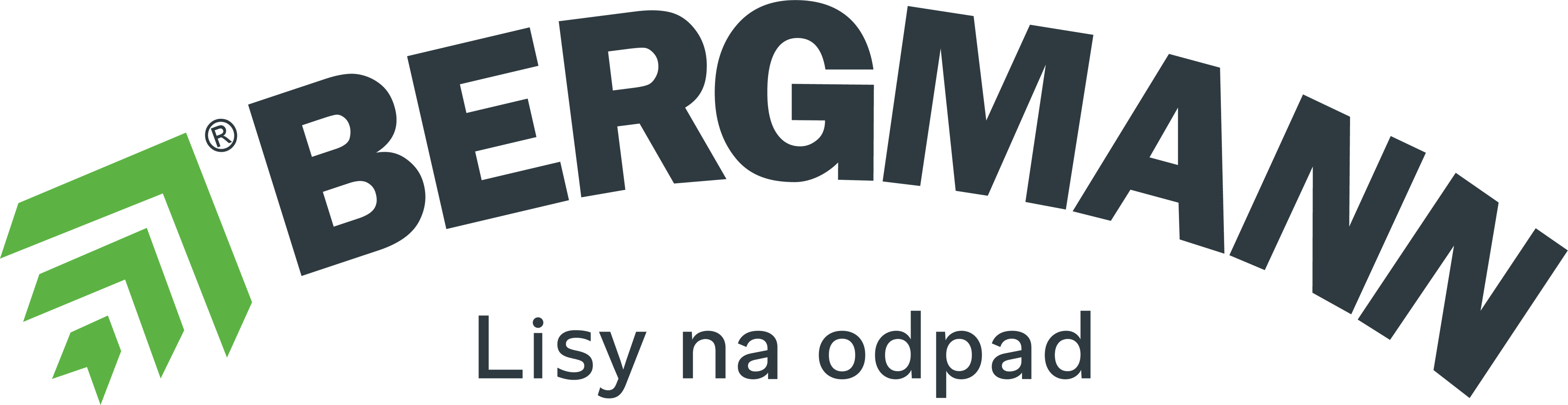 Bergmann